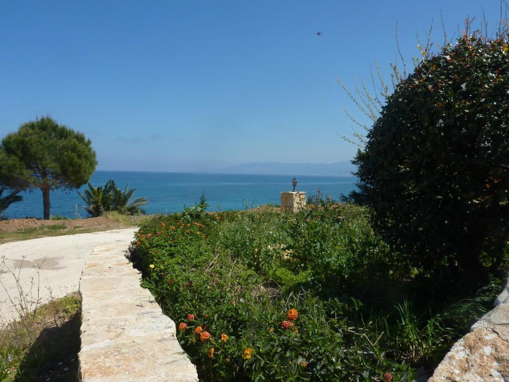 Aphrodite Polis